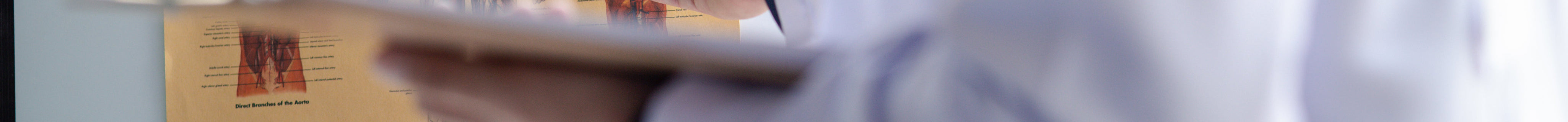 Wusstest du, dass natürliche Schilddrüsenextrakte jahrzehntelang erste Wahl waren?