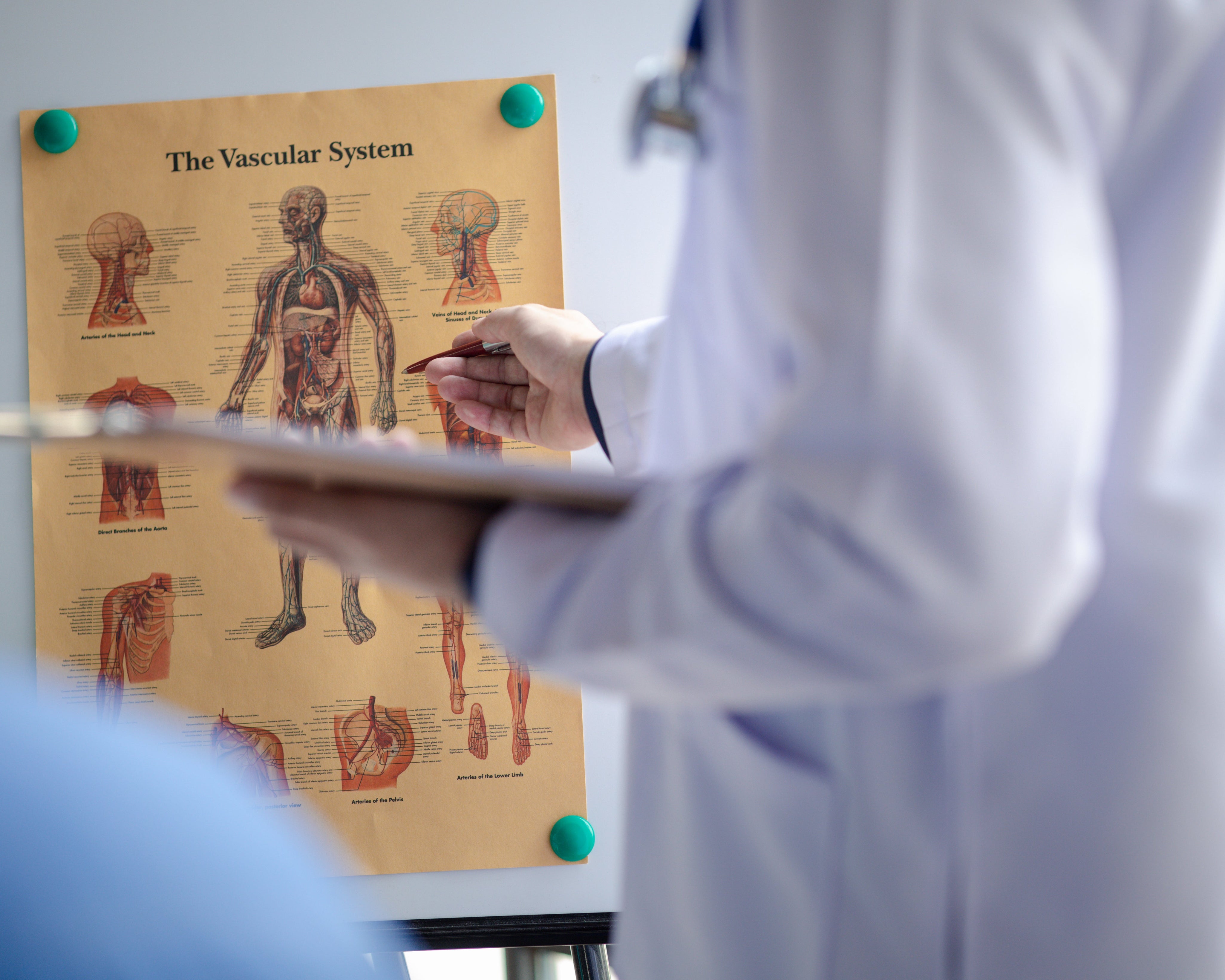 Wusstest du, dass natürliche Schilddrüsenextrakte jahrzehntelang erste Wahl waren?