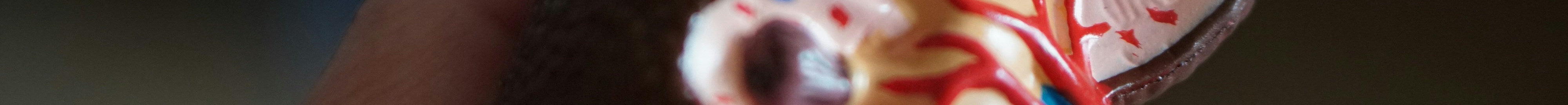 Schilddrüsen-Aktivierung